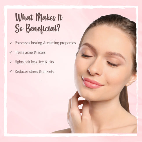 the beauty co French Lavender Essential Oil